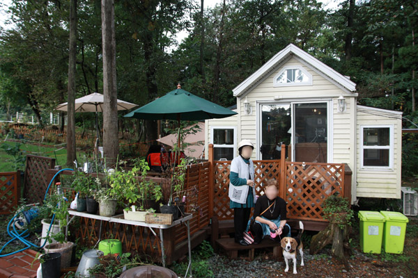 ビーグル　きなこ