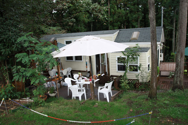 ビーグル　きなこ