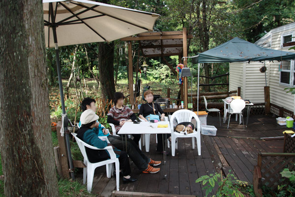 ビーグル　きなこ