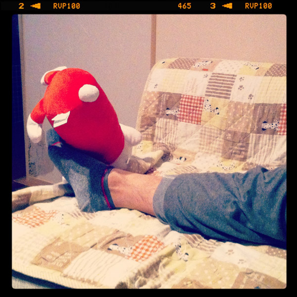 ビーグル きなこ