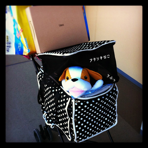 ビーグル きなこ