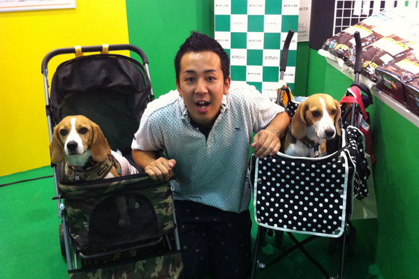 ビーグル きなこ