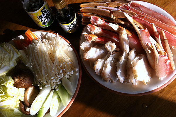 ビーグル きなこ こんぶ