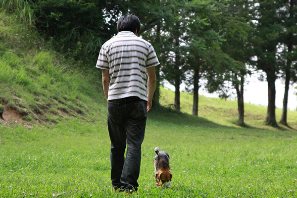 ビーグル きなこ こんぶ