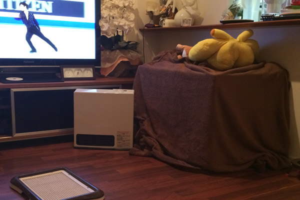 ビーグル きなこ こんぶ