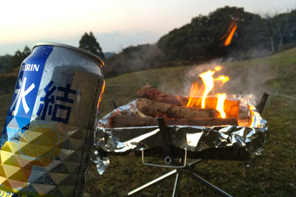 ビーグル きなこ こんぶ