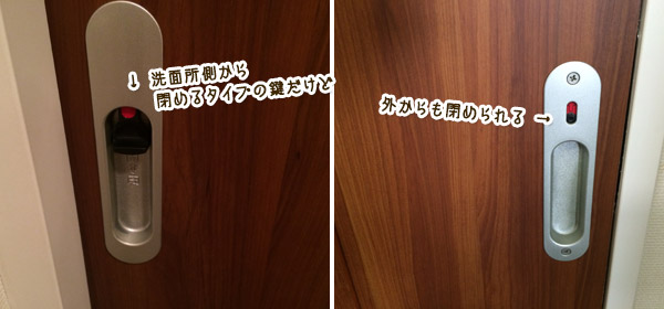 ビーグル きなこ こんぶ