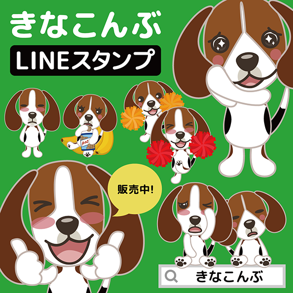 ビーグル きなこ こんぶ