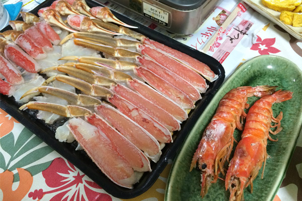 ビーグル きなこ こんぶ