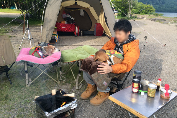 ビーグル　きなこ　こんぶ