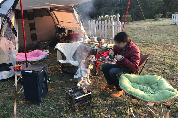 ビーグル きなこ こんぶ