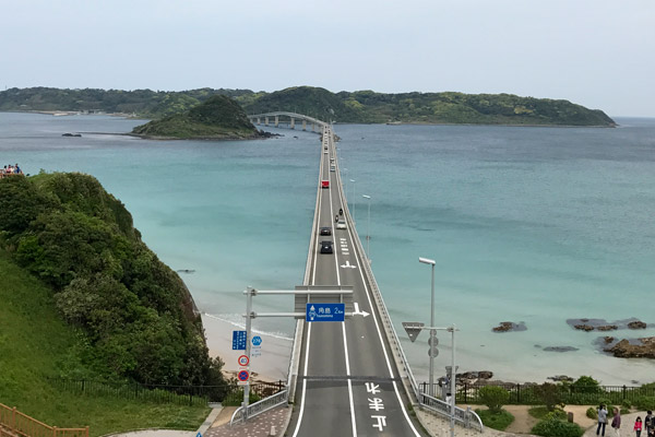 ビーグル きなこ こんぶ