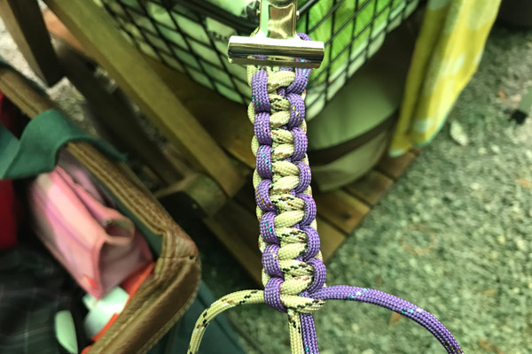 ビーグル きなこ こんぶ