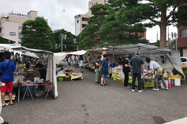 ビーグル　きなこ　こんぶ