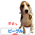 にほんブログ村 犬ブログ ビーグルへ