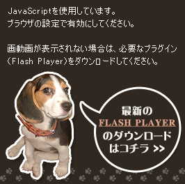 最新のFlash Playerのダウンロード
